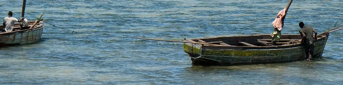 Vue panoramique : Mozambique