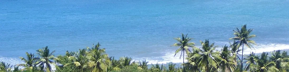 Vue panoramique : Dominique