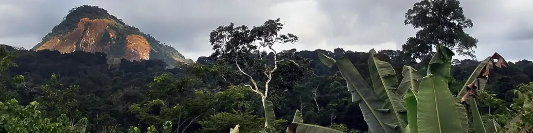Vue panoramique : Guinée équatoriale