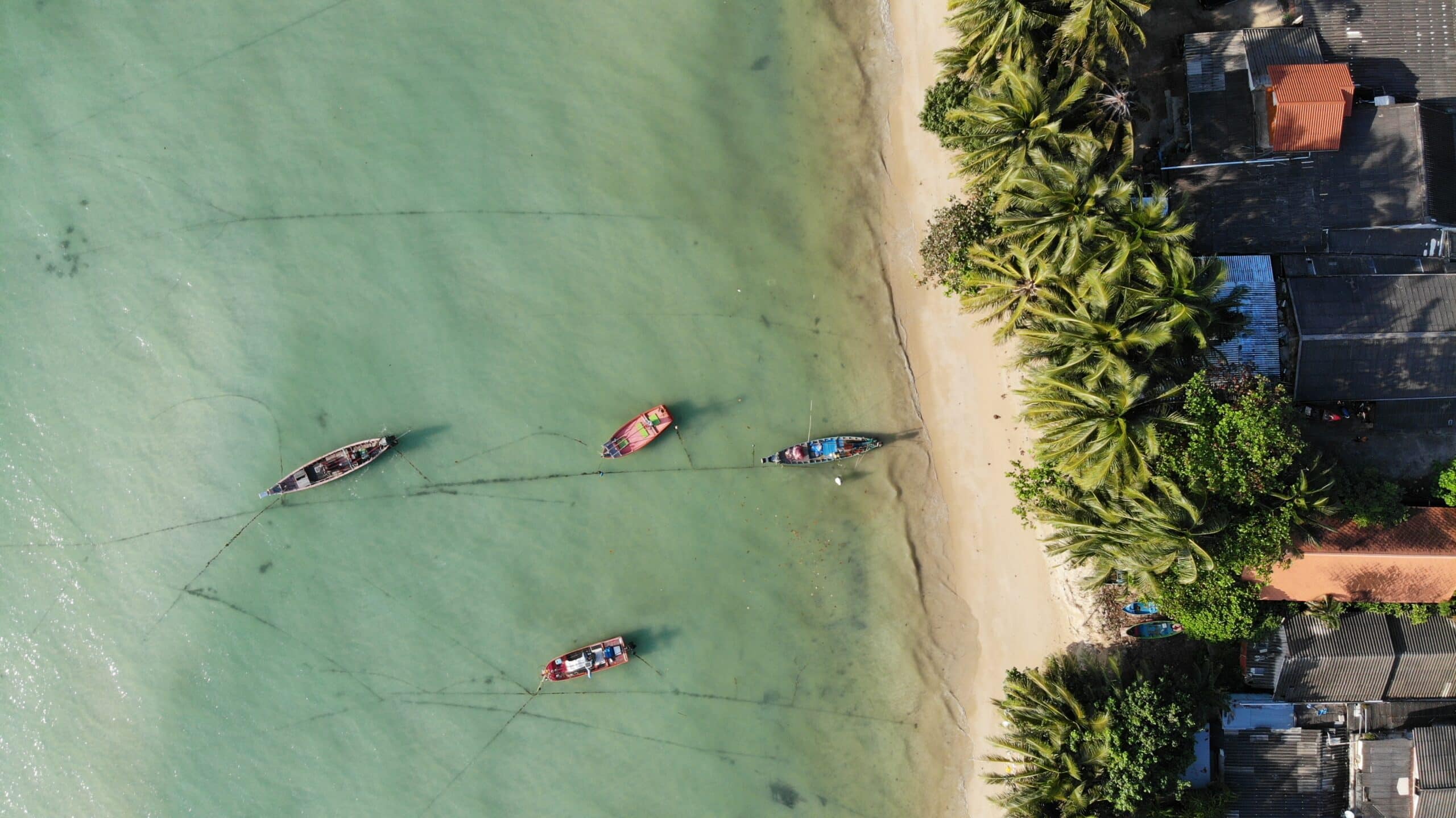 où partir en voyage à Koh Samui ? Vue aérienne de bateaux de pêche traditionnels amarrés près d'une plage bordée de palmiers à Koh Samui.