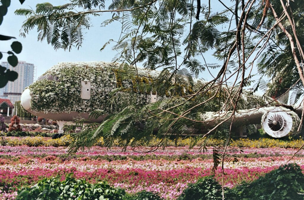 L'A380 d’Emirates entièrement recouvert de fleurs au Dubai Miracle Garden, une attraction unique au monde.