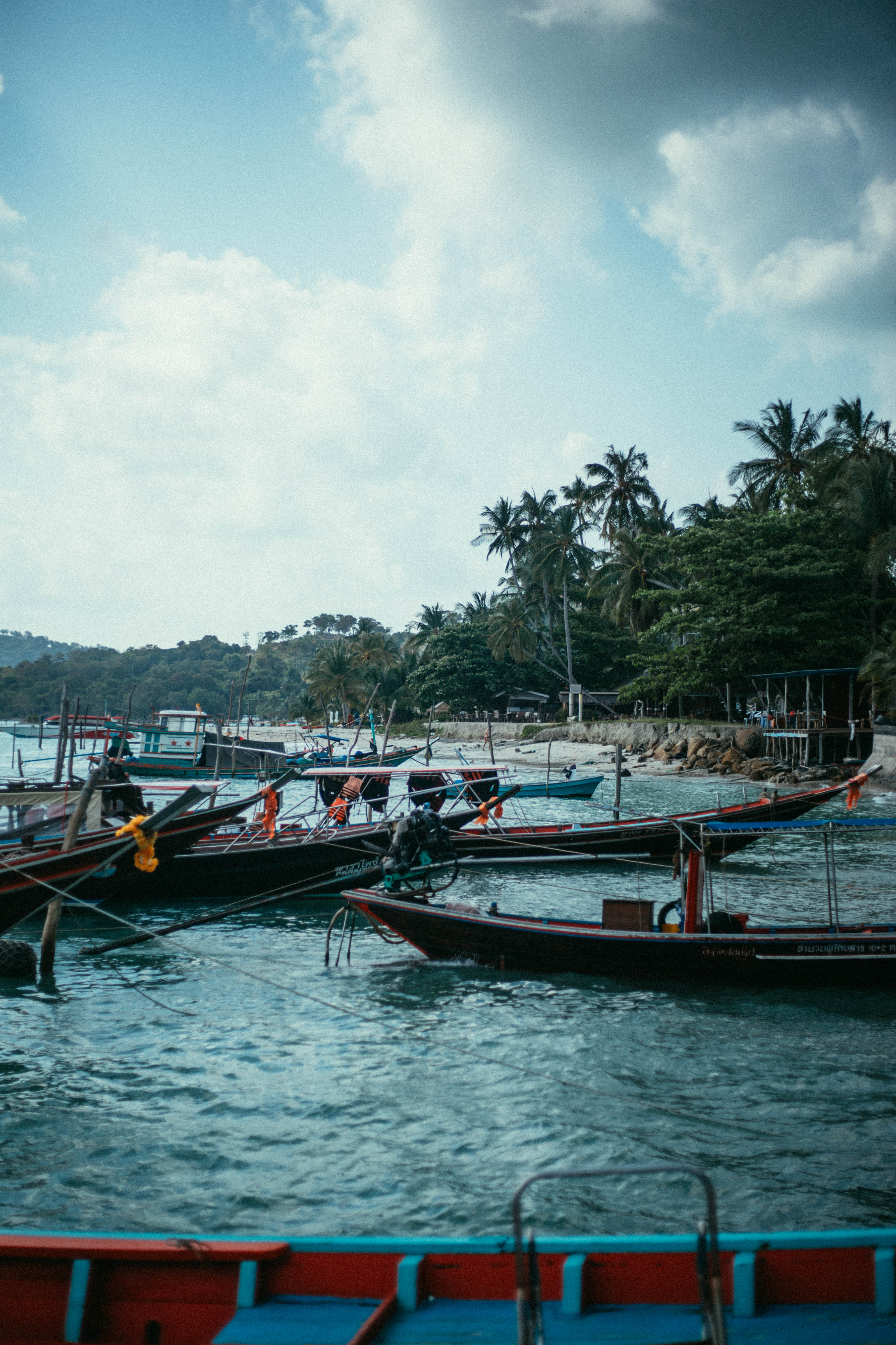 Des bateaux colorés amarrés près d’une côte bordée de palmiers.