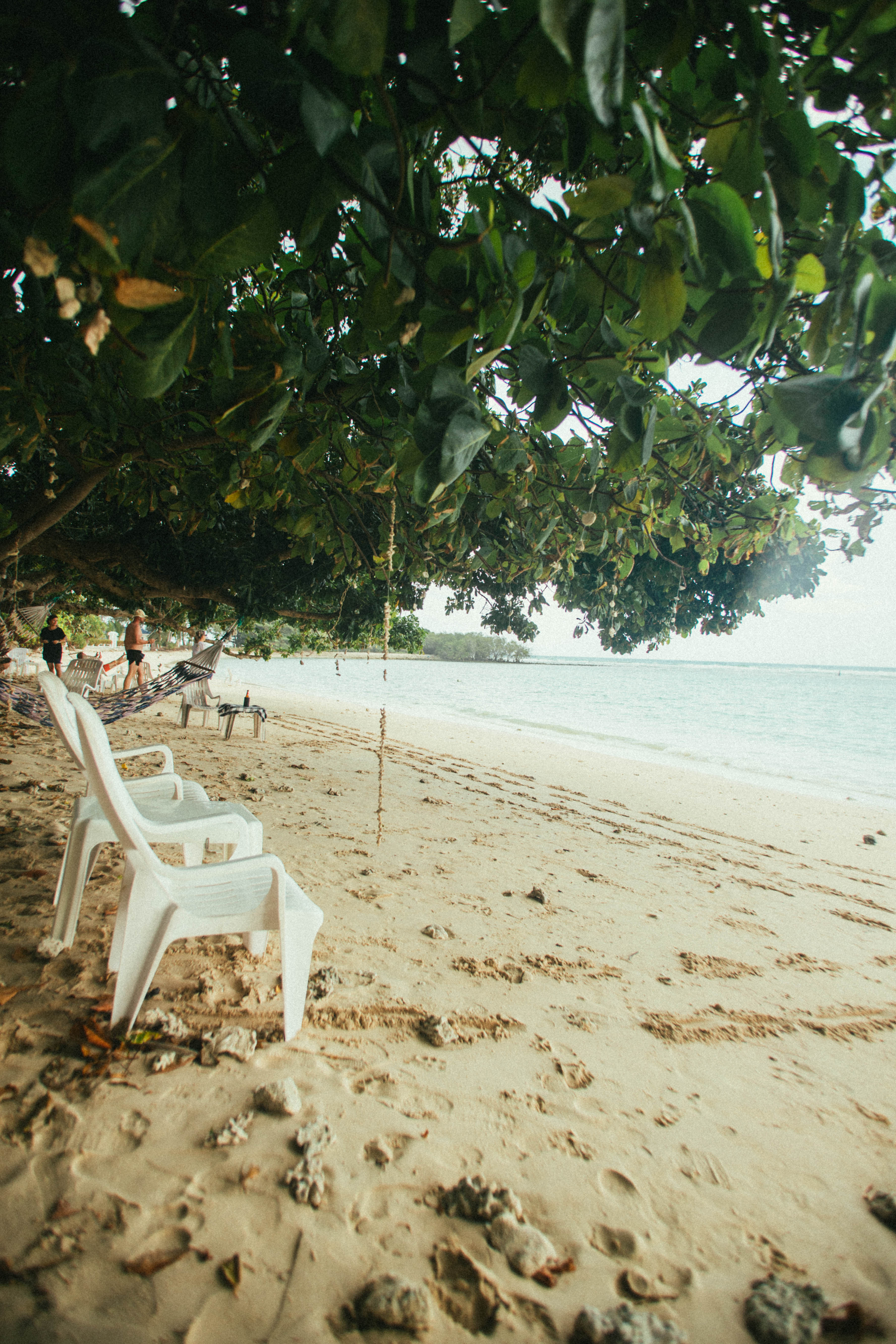 Des chaises au bord d’une plage, sous l’ombre des arbres.
