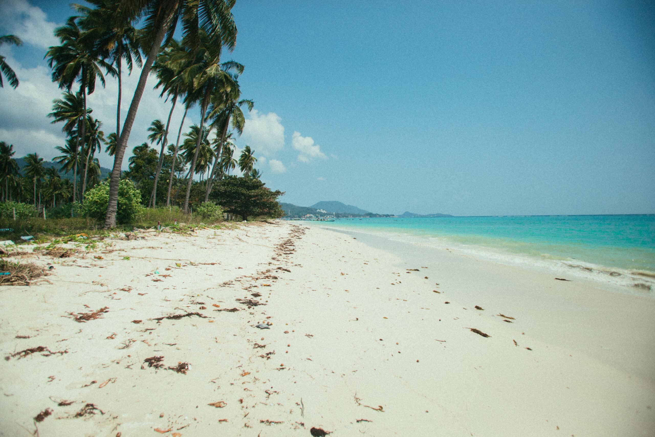 Plage sauvage et déserte à Koh Samui, bordée de palmiers et d’eau turquoise.