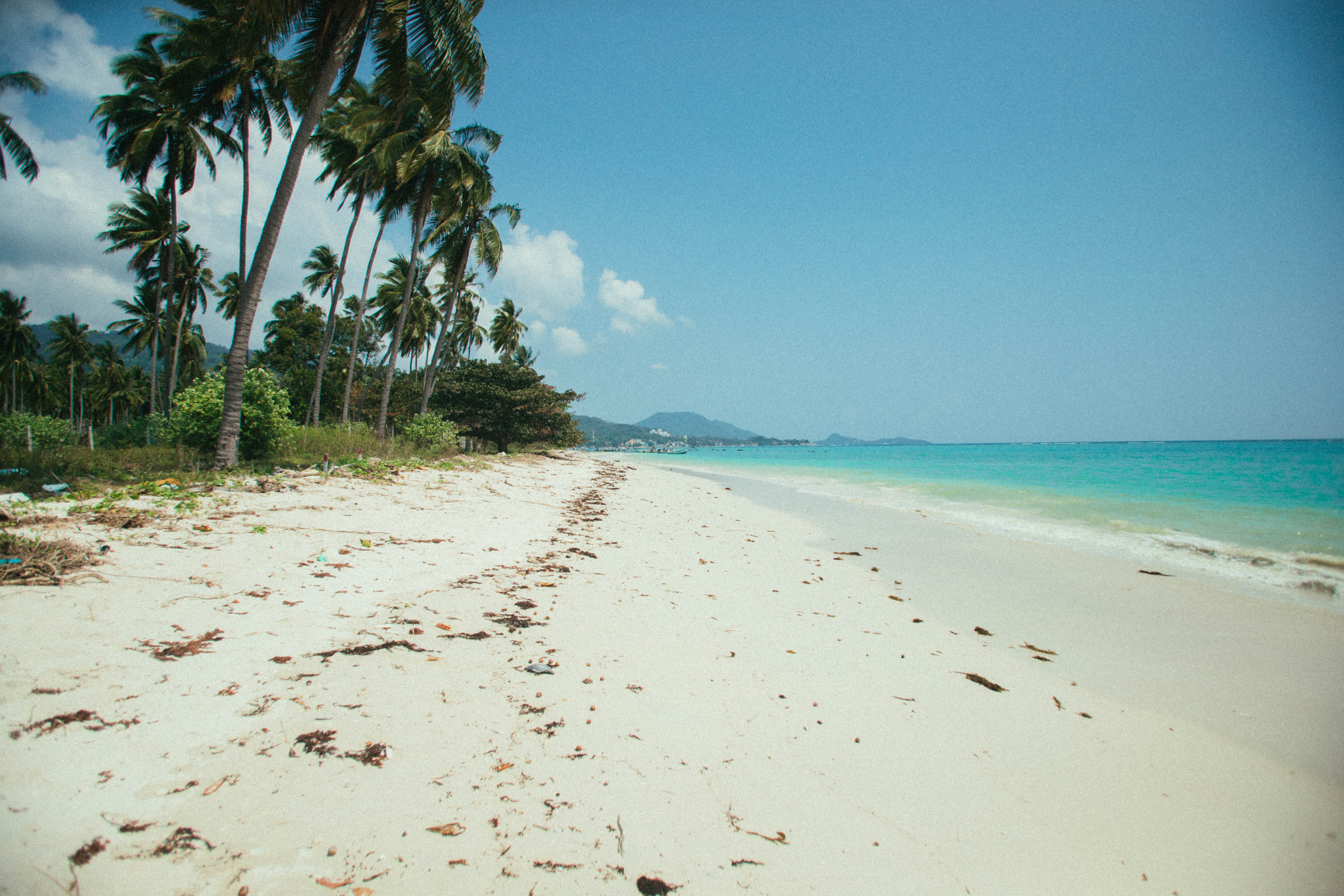 Une plage de Koh Samui bordée de cocotiers, avec des îles à l’horizon.
