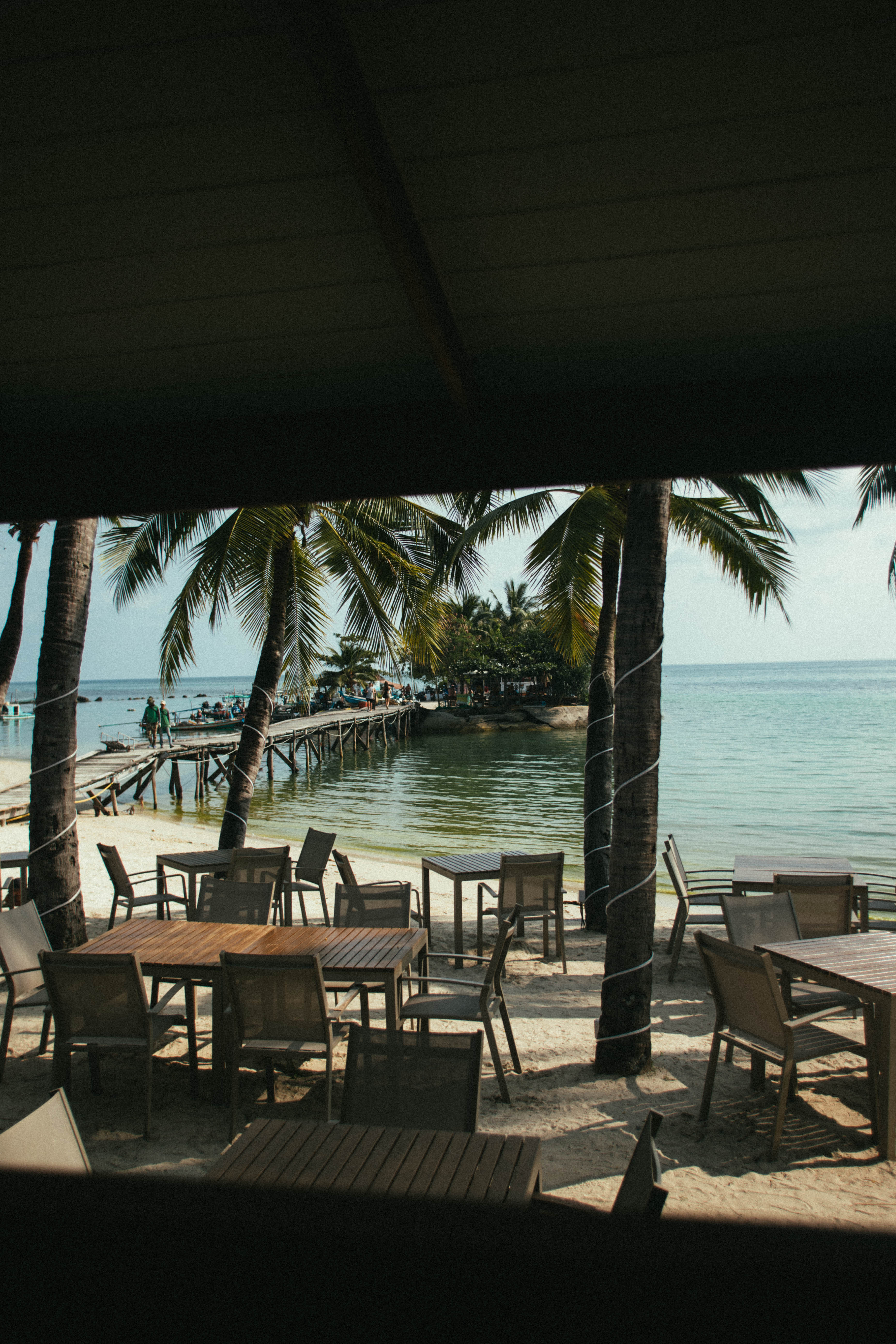 Des tables sous une terrasse couverte, devant les palmiers et la plage.