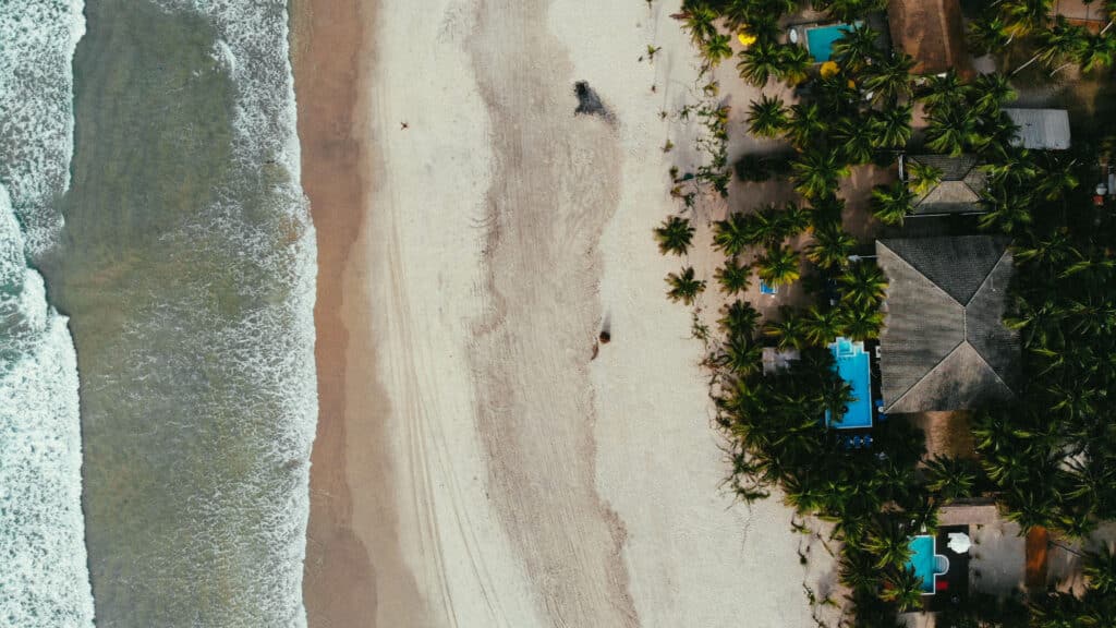 Vue aérienne d'une plage bordée de cocotiers et de villas avec piscines.